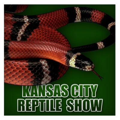 KC Reptile Show